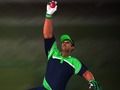 Laro Hamon ng Cricket Fielder online