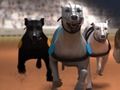 Laro Greyhound racing online