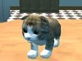 Laro Cat Simulator: Kitty Craft! online