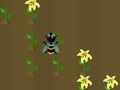 Laro Nectar Harvest online