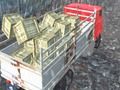 Laro Offroad truck driver online