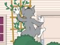 Laro Tom und Jerry: Wasserbomben Wahnsinn online