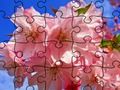 Laro Itinaas ng Jigsaw Puzzle: Bulaklak  online