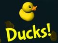 Laro Duck! online