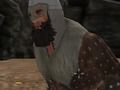 Laro Viking  online