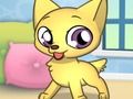 Laro Princess Pet Studio online