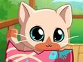 Laro Ang aking bulsa alagang hayop kitty cat online