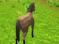 Laro Horse Simulator 3d online