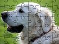 Laro Jigsaw puzzle domesticated hayop online