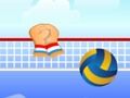 Laro Volley Ball online