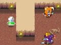 Laro Rogue Tail online