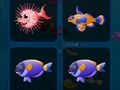 Laro Mga card ng isda  online