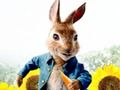 Laro Peter Rabbit: Problema sa Maze  online