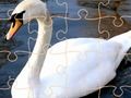 Laro Swan Puzzle Challenge online