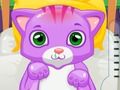 Laro Cat Doctor online