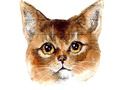 Laro Hamon ng puzzle ng Abyssinian online