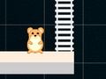 Laro Oras ng Smart Hamster  online