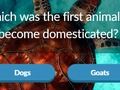 Laro Mga hayop na Trivia  online