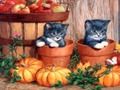 Laro Pagpinta ng Halloween  online