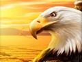 Laro Eagle online