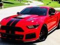 Laro Mga Fancy Mustang Mga Pagkakaiba  online