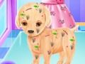 Laro Surgery ng Baby Elsa Puppy online