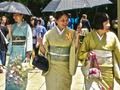 Laro 100 butterflies sa Japan  online