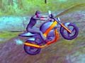 Laro Mountain Bike Rider online