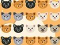 Laro Cute Kitty Pareha 3  online