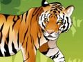 Laro Nagagalit na Tigre  online