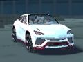 Laro Amsterdam Project Car Physics Simulator online