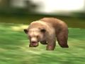 Laro Pangangaso ng Animal Animal  online