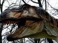 Laro T-Rex Dinosaur Jigsaw online