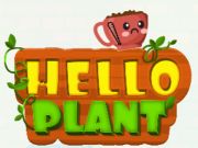 Laro Kamusta Plant  online