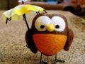 Laro Cute na puzzle ng owl online