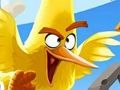 Laro Galit na Birds Jigsaw Puzzle Collection online
