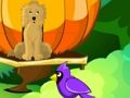 Laro Tumakas ang Blossom Garden online