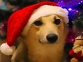 Laro Nakakatawang Mga Aso ng Pasko  online