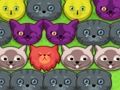 Laro Mga pop-pop kitties  online