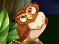 Laro Owl tagabaril online