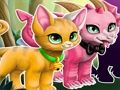 Laro Magical Pet Maker online