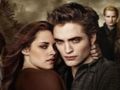 Laro Koleksyon ng Twilight Jigsaw Puzzle  online