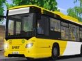 Laro Public Transport Simulator 2021 online