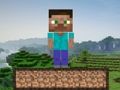 Laro Minecraft Survival  online