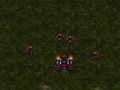 Laro Starcraft 3  online