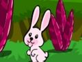 Laro Hopping Rabbit Escape online