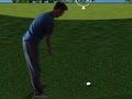 Laro Flash Golf 3D  online