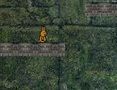 Laro Bunny Adventure  online