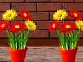 Laro Tumakas ang Flower House online