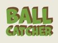 Laro Ball catcher online